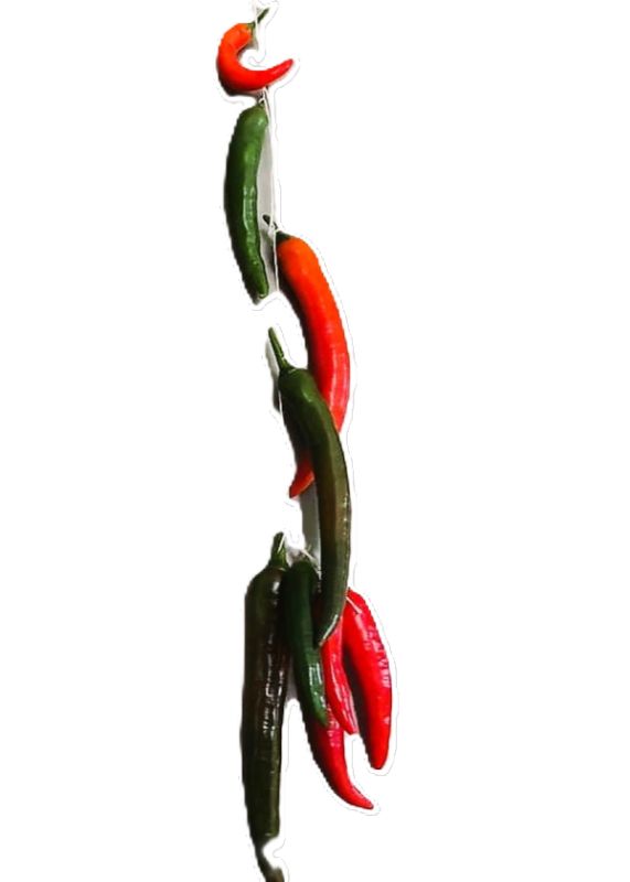      :   