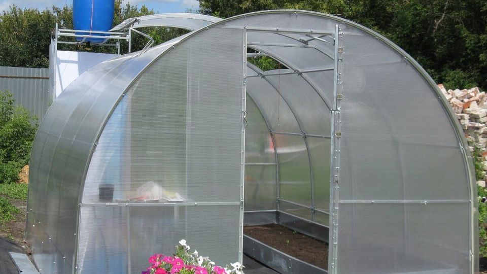 Как правильно проветривать теплицу: секреты успешного растениеводства