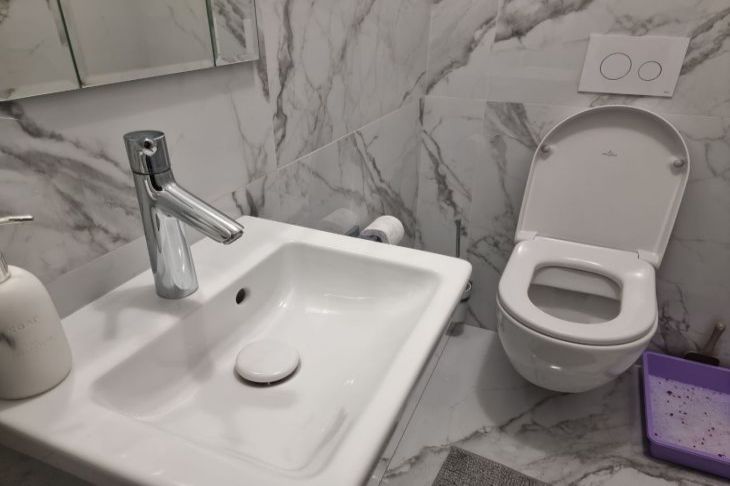 Приведет к засорам и поломкам: 5 вещей, которые категорически нельзя смывать в раковину и унитаз – забивают трубы