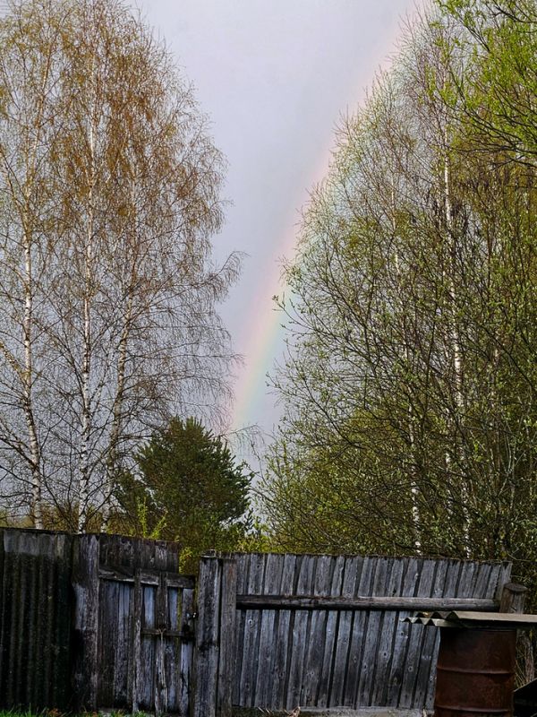 Секреты выпечки хлеба в русской печи: от первых шагов до вкусного результата