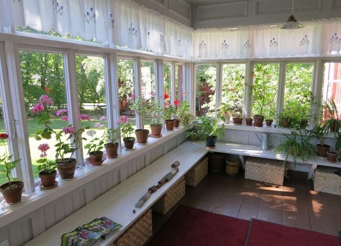 Зачем важна чистота листьев комнатных растений?