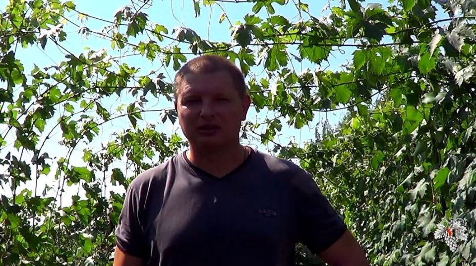 Эффективные методы формирования виноградников: секреты успешного урожая