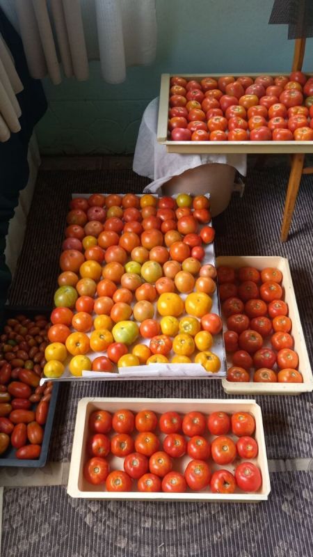 Способы восстановления истощенной почвы для успешного урожая