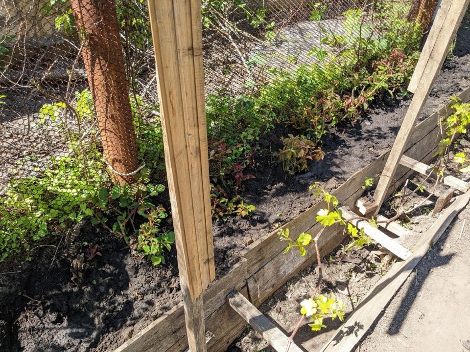 ����������� ���������� � �����������