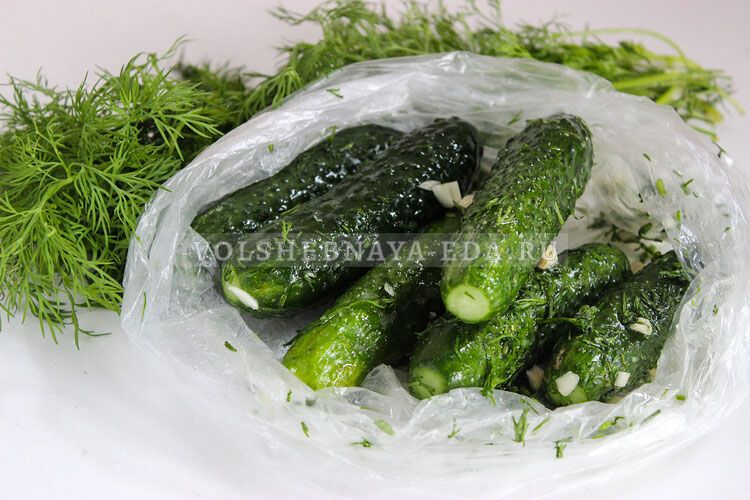 Летние огурцы за 5 минут: быстрый и вкусный рецепт для любителей закусок