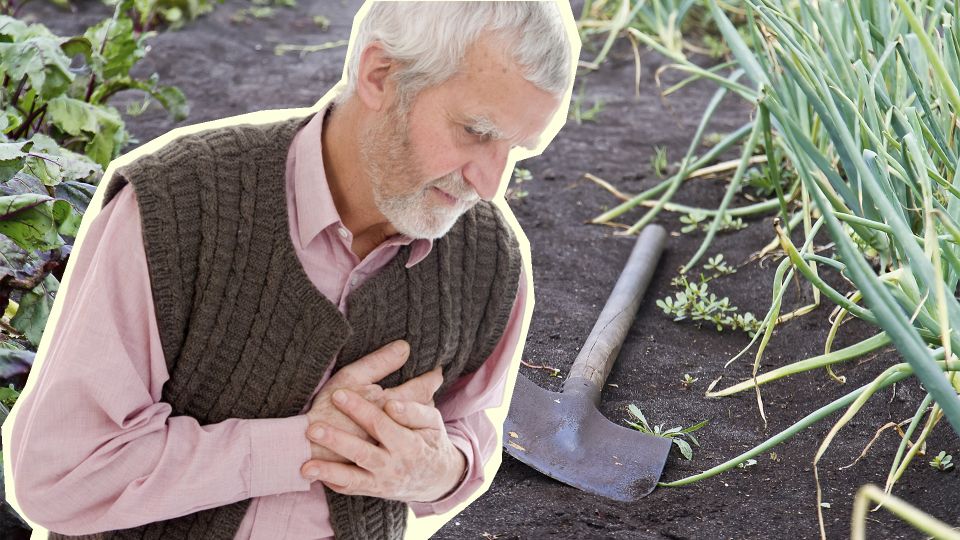 Вот как дачникам уберечься от инфаркта и инсульта: выбирайте правильную позу для работы