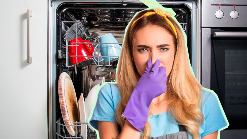 �������� �� ����������� ���������� ����������� �� ��������: �������� ��� ��������