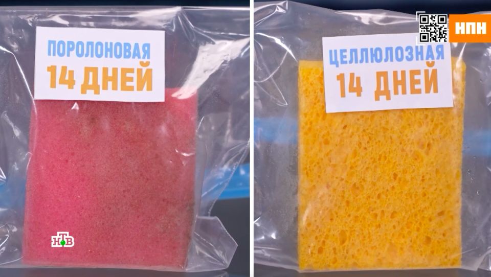 ����������� ������ ����������� �����: ��� ������� ��� ��������� ������?