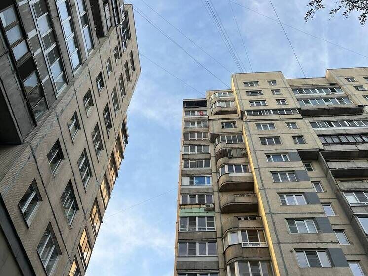 ����� � �����-����������: ����� ��������� ��� �������