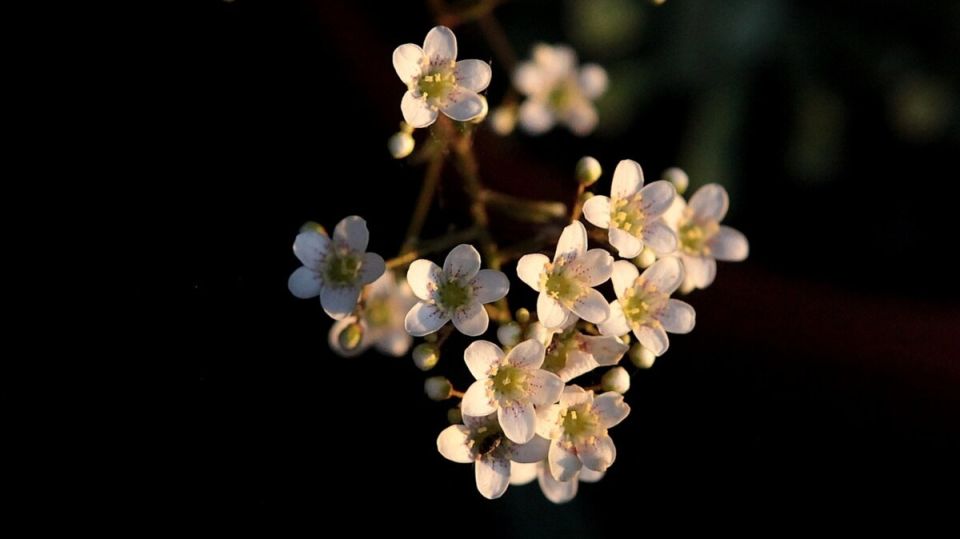 ��������������� � ������� �������: ������� � ������� ����������