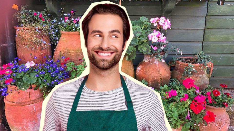 ����������� �������, ���� �� ������: ������ ���� �� ������� �� ����� ��������� ������