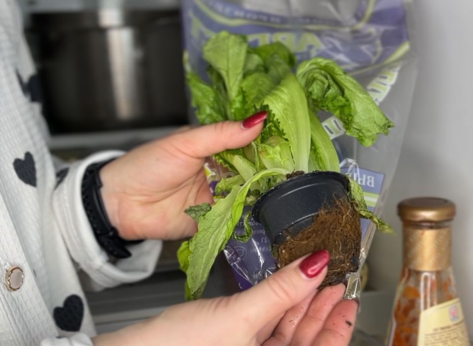 ��� ���������� �� ������: ����������� ���� ��� ������ �������