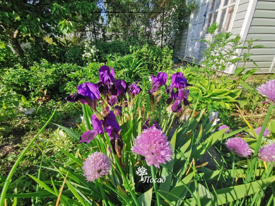 ��� �����: ������ ������ ���������� ������ � �������