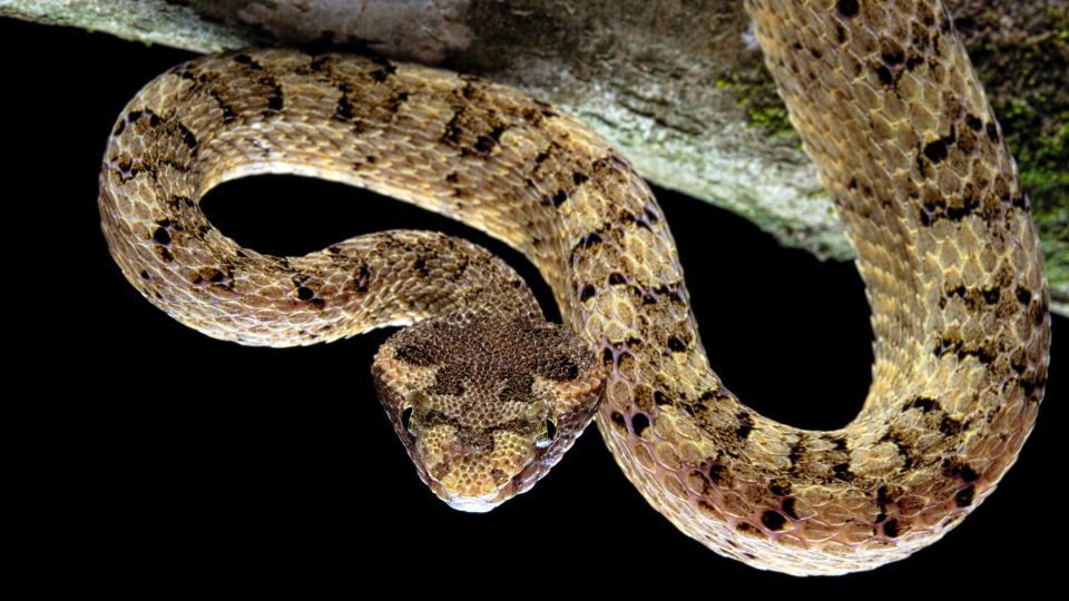 ������ � ��������: ������ ����� ��������� ����������� ��� ����� ������