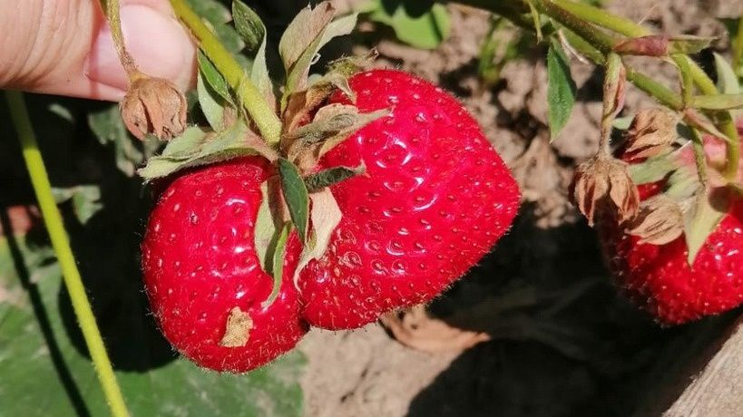 ��� ����������� � ��������� ������� ��������� �������� ����� � ������������ ��������� ������