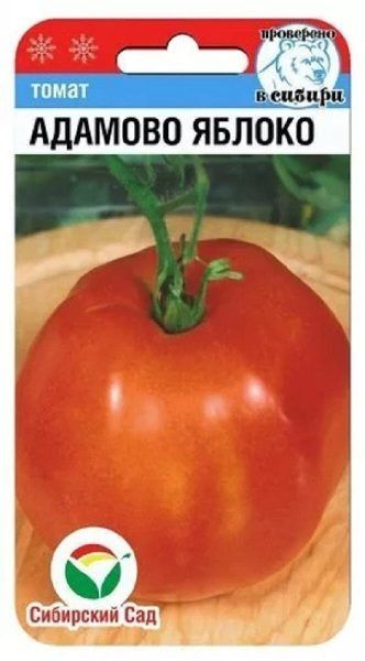 ����� ������� ������: �������� ���������� ��������� � ���������� ������