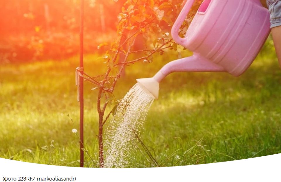 ������� ������������� �����: ������� �������� ������� ������� ��������