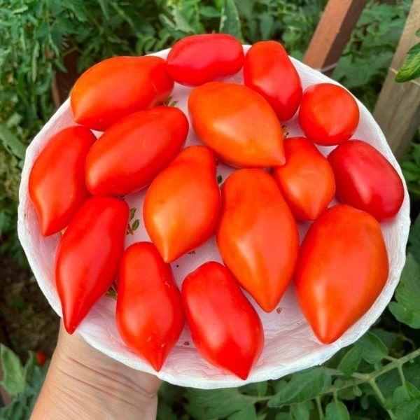 ����� ��������: ������� � ��������� ����� ��� �������