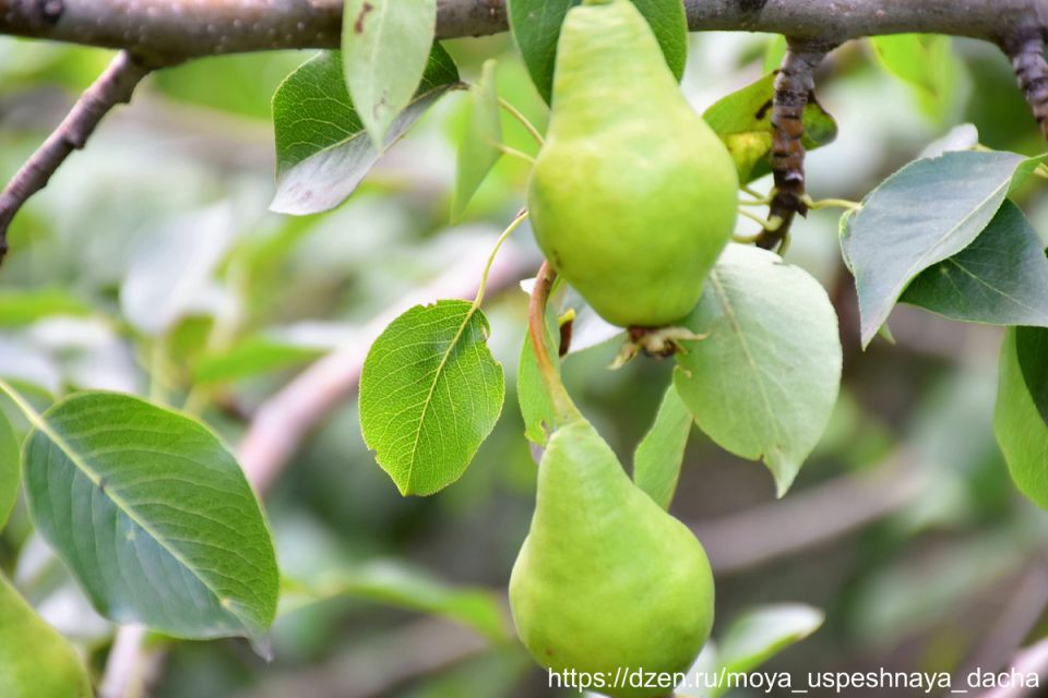 ��� ��������� ������������� ����� ������ ��� �������� ������