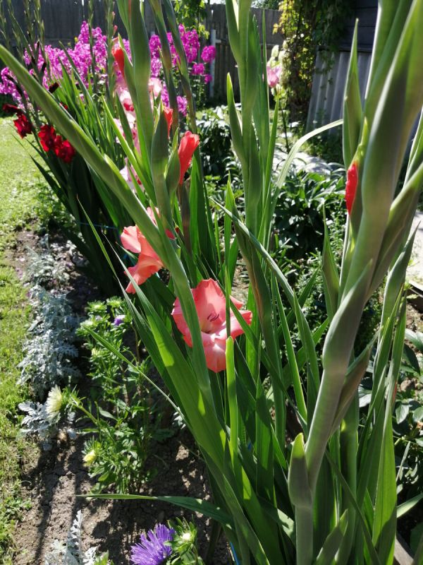 ����������: ��������� ������� ���� � ���������� � ����������� �����