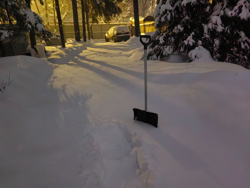 Январские заботы в саду: как ухаживать за растениями зимой