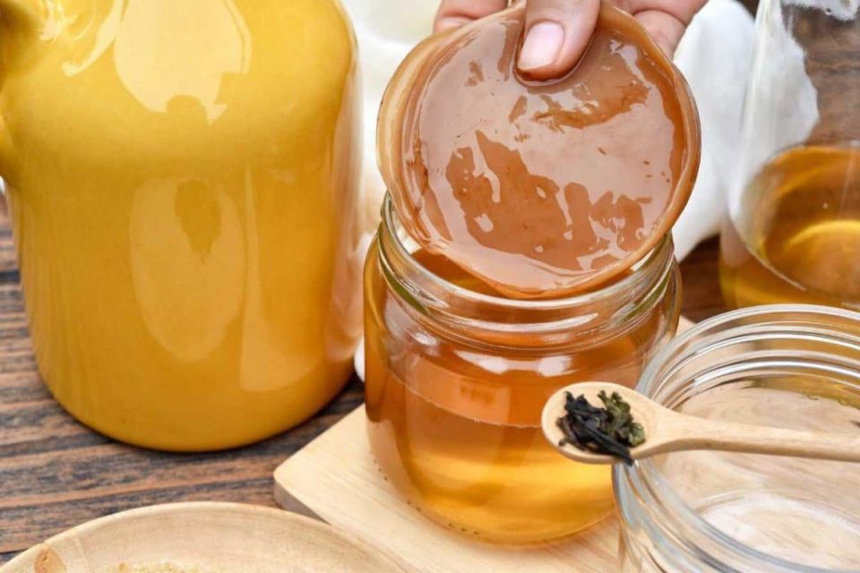 Комбуча нового поколения: ученые усилили антиоксидантные свойства напитка с помощью лопуха