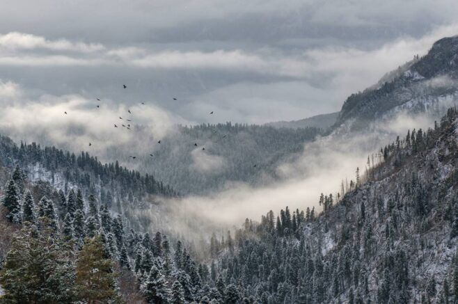 ������� �� ����������� ��� �������: ��� ����� �� ������������ �������������