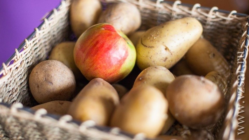 Как новые стандарты качества картофеля и яблок изменят рынок в России
