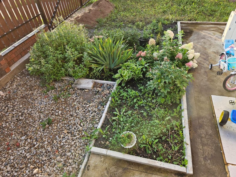 ������� �����: ��� ������� ������ �������� �������� �������