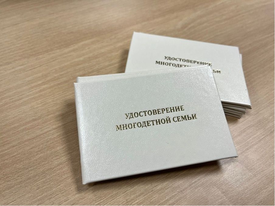 Минтруд предлагает единый подход к статусу многодетности при разной прописке регионов