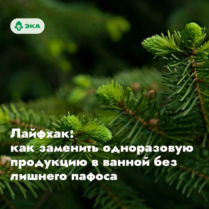 Осознанная замена в ванной: как минимализм снижает отходы без лишнего пафоса