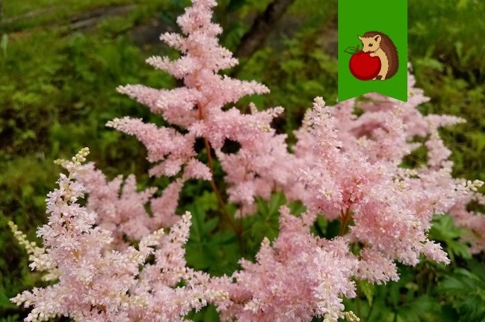 �������� � �������: ��� ��������� ������� � ���������� �������� � ��������� ������