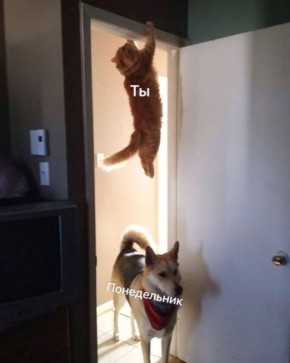  ). 19   :  ,  -   ,      