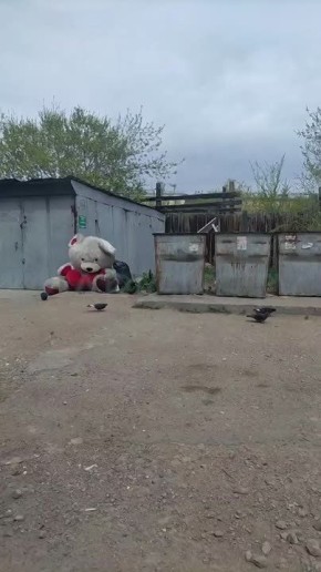  :    ,    