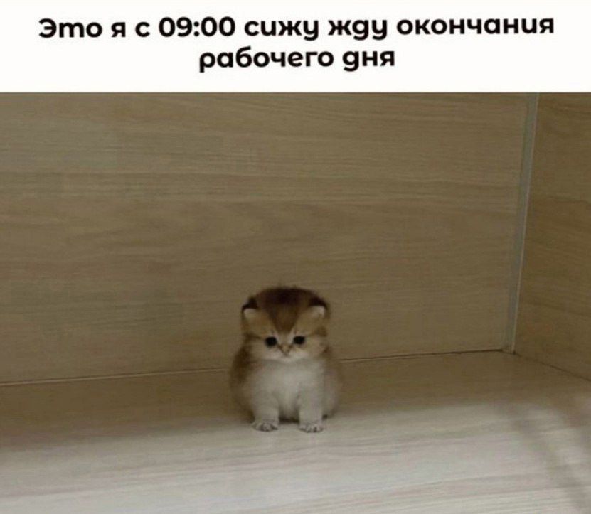  ). 22   :  ,   