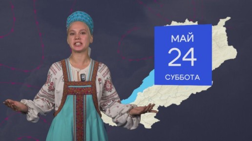 + 26  - |     24 