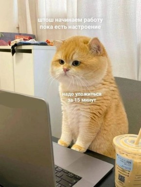  ). 23   :  ,   ,       ,  