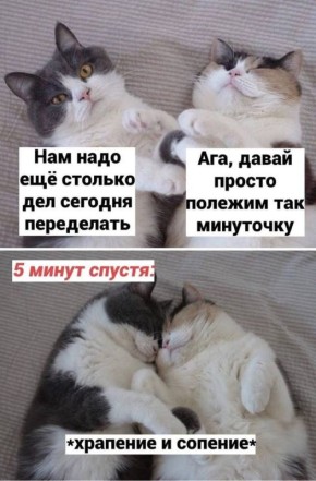  ). 24   :  ,    , 