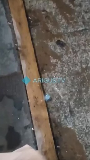 :  -      