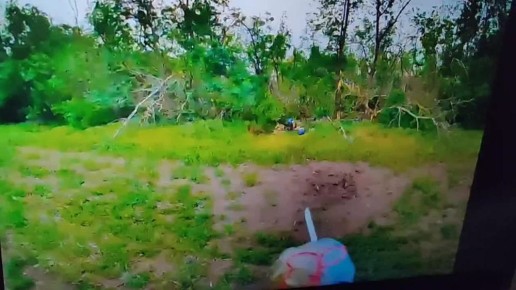  :     &quot;&quot;          - 