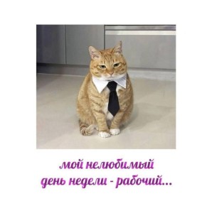  !.          , 29 ,     