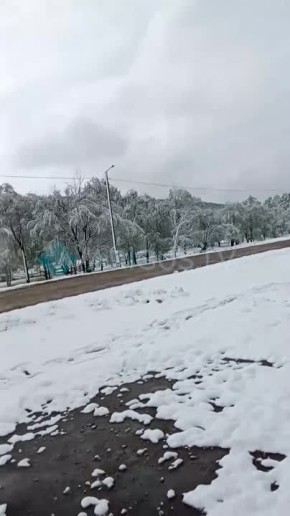   !.       
