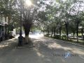    03     ,        -