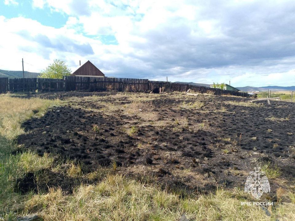 Не убрал траву - получил штраф