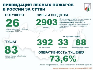 За прошедшие сутки в России потушено 26 лесных пожаров в 7 регионах