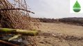 Фотоловушки Бурприроднадзора работают эффективно: с поличным пойманы два нарушителя