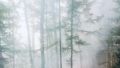 Почему Улан-Удэ в дыму. По данным Гидрометцентра, дует восточный ветер, который «нагнал» дым в столицу Бурятии с Забайкальского края