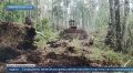 В Забайкалье сотрудники Авиалесоохраны пытаются остановить распространение огня
