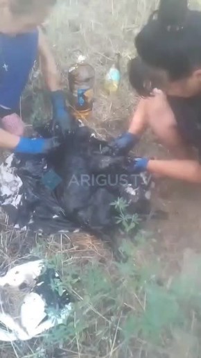Нам пишут: вытащили щенка из гудрона