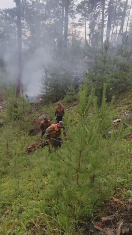 Пожарные ликвидировали 16 лесных возгораний в Бурятии